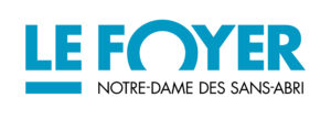 logo fndsa rvb